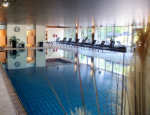 Schwimmbad im Wellnessbereich einer Unterkunft in der Erlebnisregion Ochsenkopf