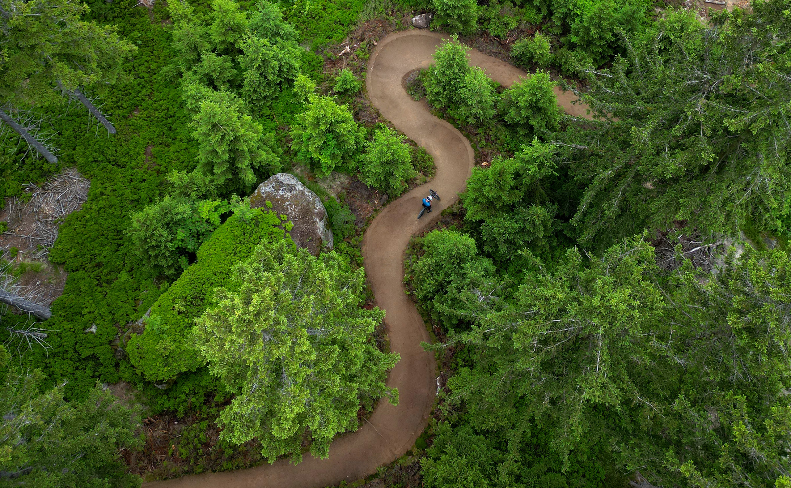 Luftaufnahme eines Mountainbikers auf einem kurvenreichen Trail durch dichten Wald.