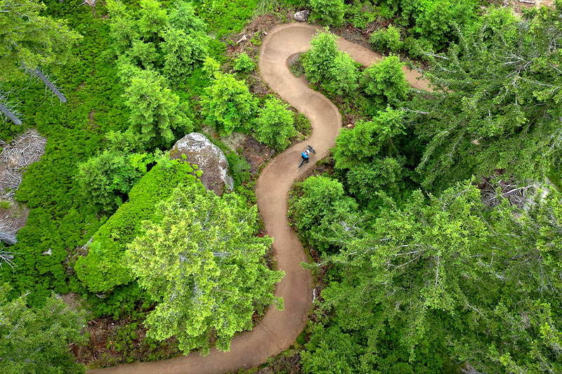 Luftaufnahme eines Mountainbikers auf einem kurvenreichen Trail durch dichten Wald.
