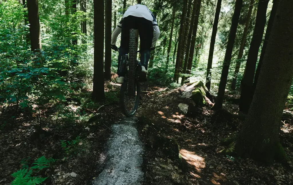 Mountainbiker fährt über eine schmale Felslinie durch den dichten Wald.