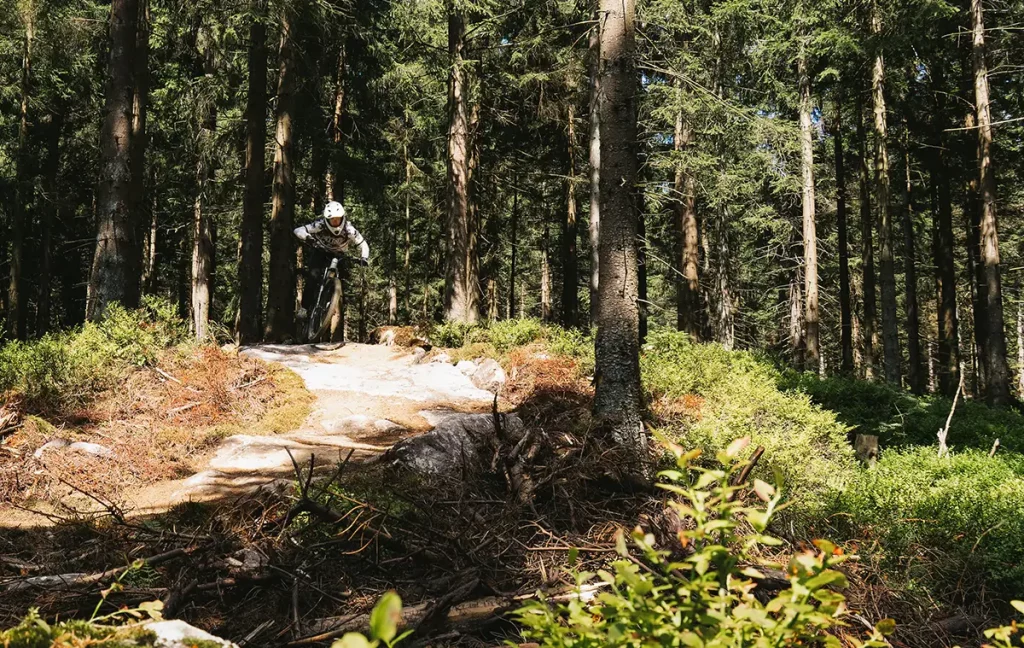 Mountainbiker fährt über eine felsige Trailpassage zwischen Bäumen im Wald.