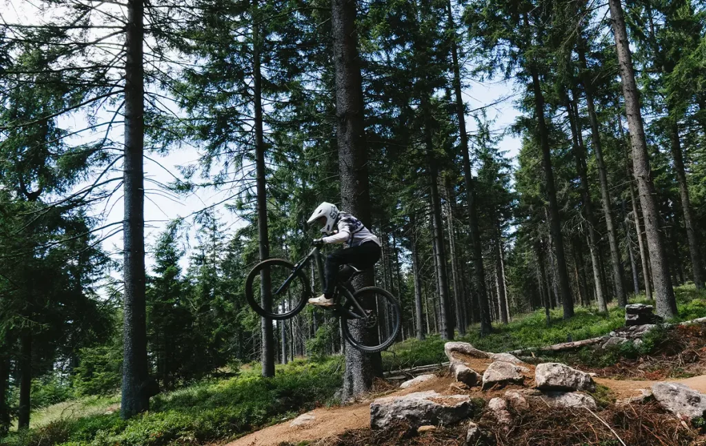 Mountainbiker fährt eine schmale Trailpassage mit Felsen und Kurven durch den Fichtenwald.